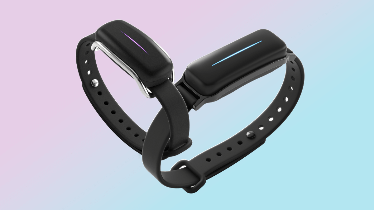 Bond Touch vs. Bond Touch More: What Are the Differences?