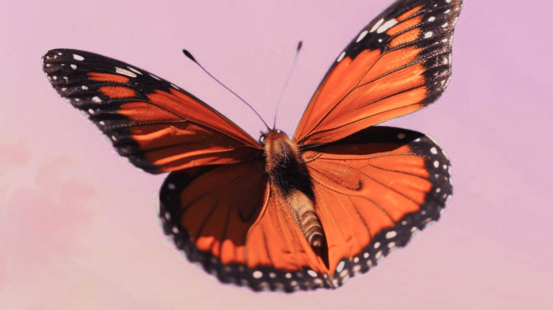 Self-Love in a Long-Distance Relationship