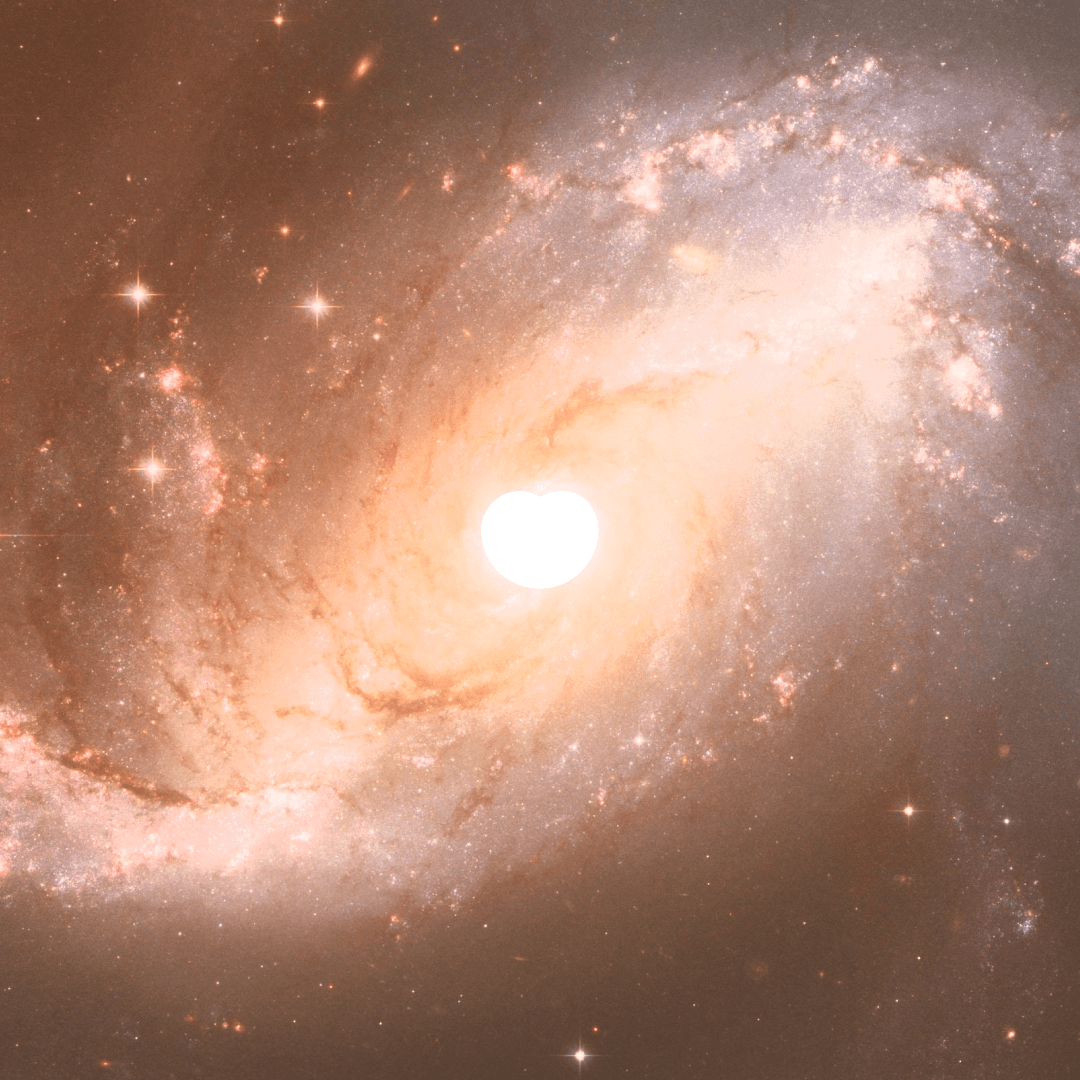 Love from Afar: Dodging Scams and Nurturing Long-Distance Relationships