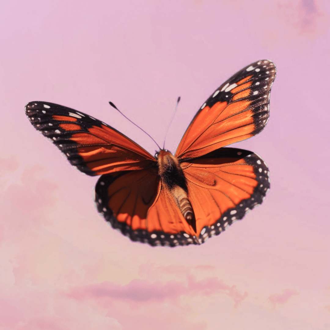 Self-Love in a Long-Distance Relationship