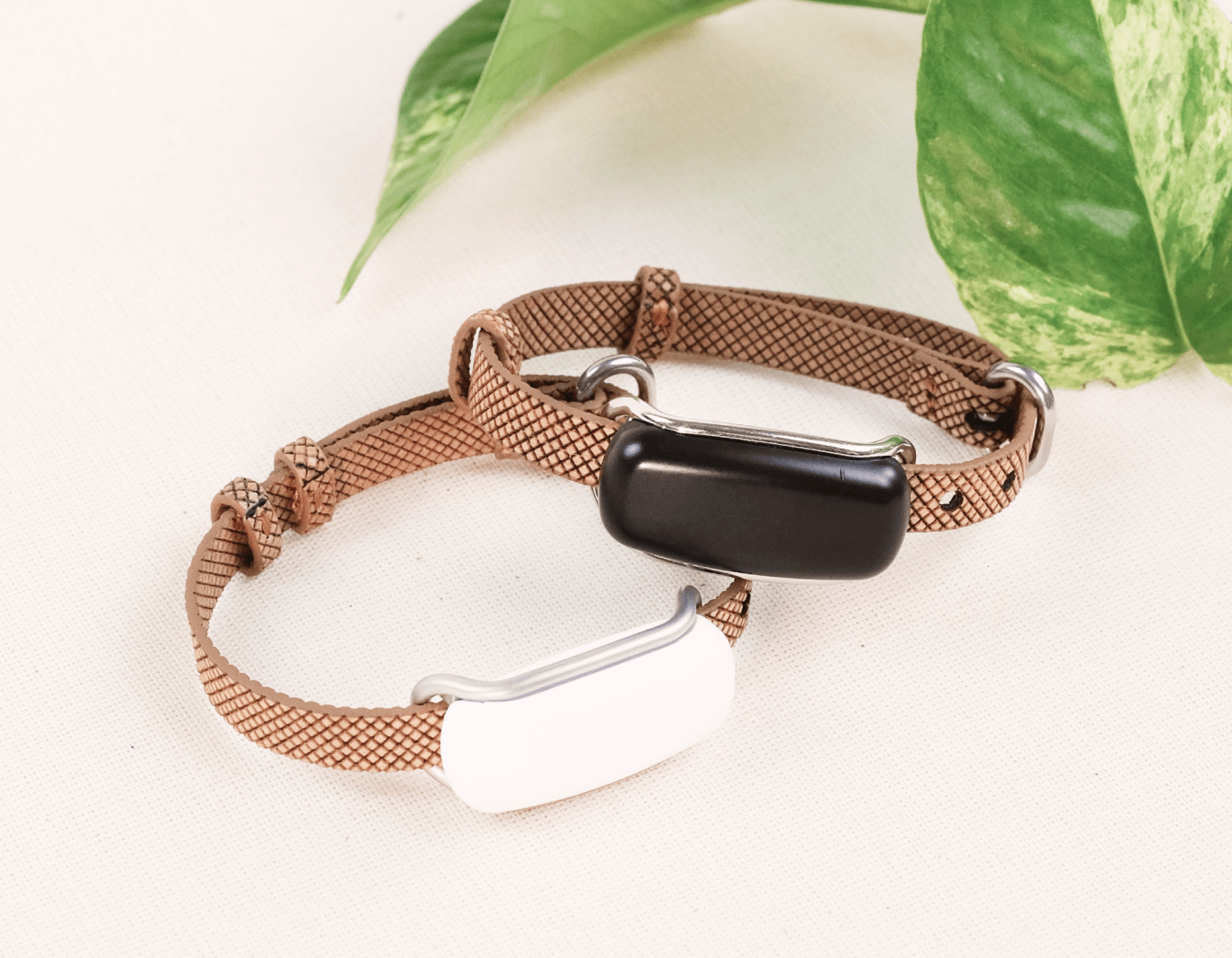 Bond touch 2025 near me